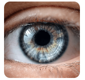 Human eye